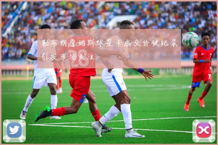 勒布朗詹姆斯球星卡成交价破纪录引发市场关注